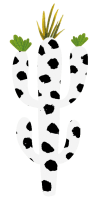 cactus trio folk bal trad